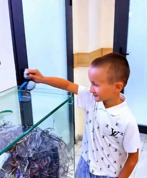 whszVR5yHDydkE z.jpg