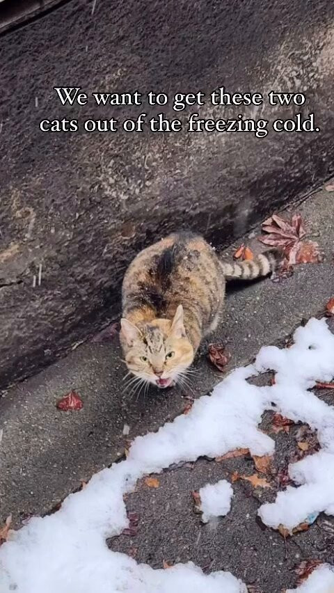 6e irQTR3tTMcqk6.jpg