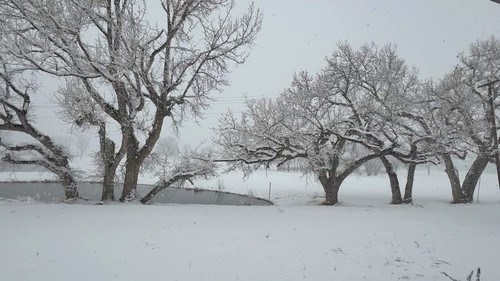 yCKfZnDM uvsG6TK.jpg