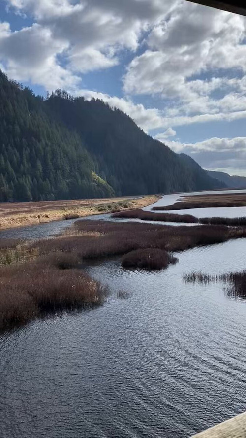 uGOZCsRy8WSSI wn.jpg