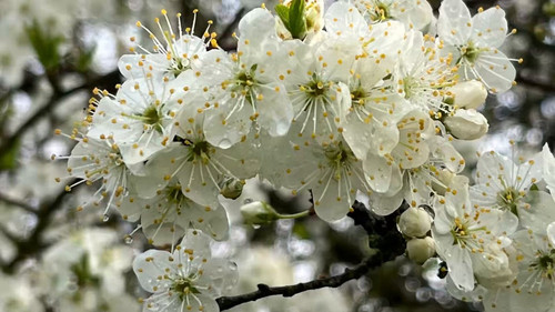 7CdeGZxkEPeE PsU.jpg