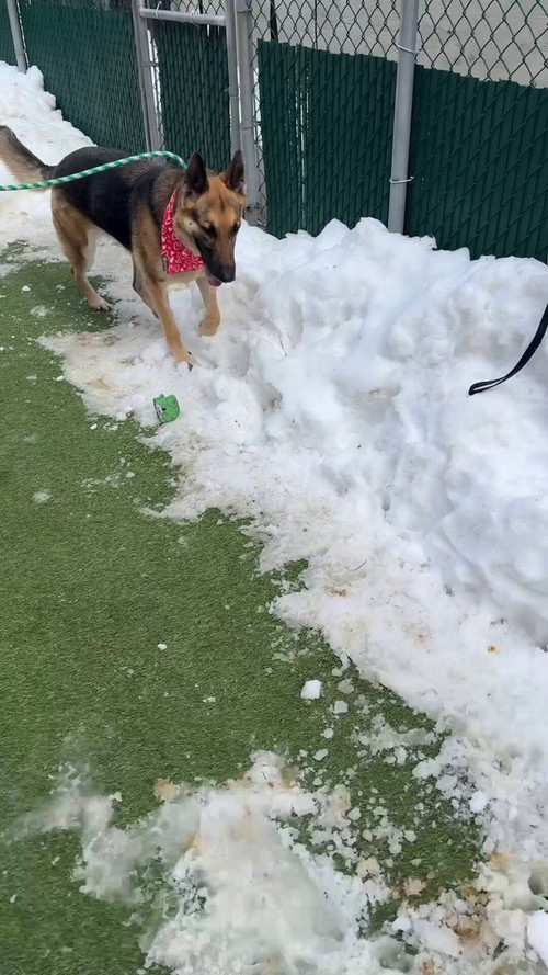 8 dmhXCC JE16wU .jpg