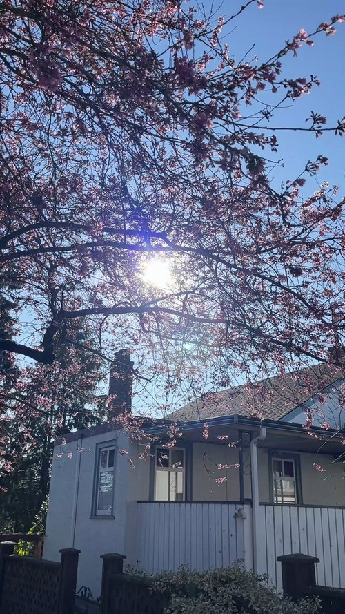 jl 45NJ56i8 wt0E.jpg