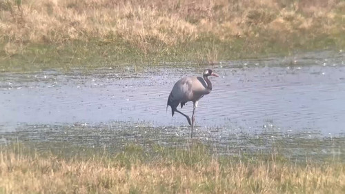 P Jl8E2er2J4aGPw.jpg