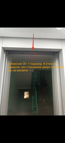 IMG 9142.jpg