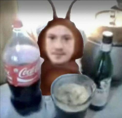 Eddie cucaracha.jpg