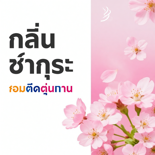 main image 3.png