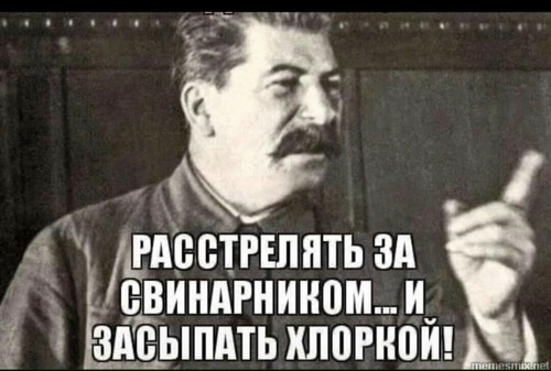 IMG 2500.jpg