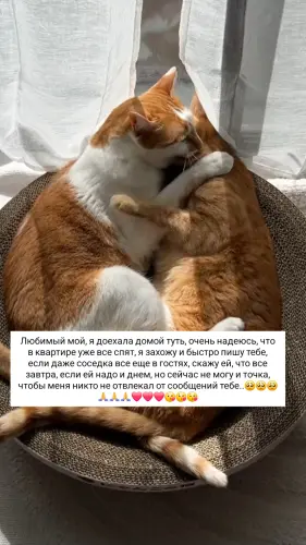 IMG 20260306 233348 349.webp