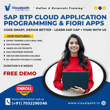 SAP BTP Cloud Application Programming Course at Visualpath