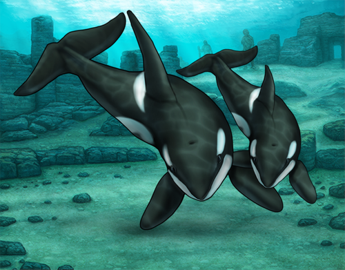 orca ex.png