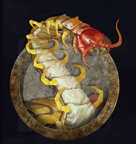 Giant Centipede.jpg