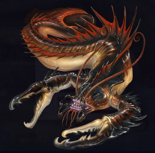 Reefclaw.jpg