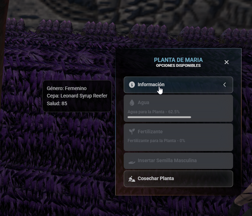 FiveM b3570 GTAProcess XNE32CP6uE.png