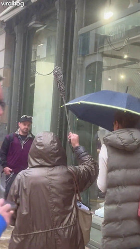 화질 얼마임 00 00 02.jpg