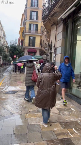 화질 얼마임 00 00 05.jpg