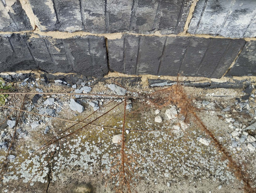 IMG 20260217 102730.jpg