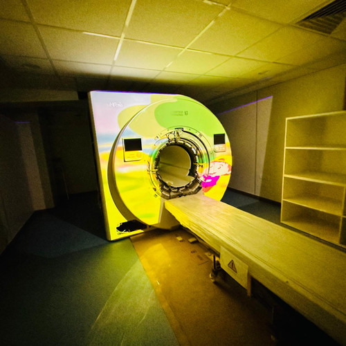 MRI Room Cage.jpg