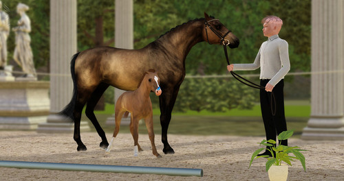 Giotto Greek Foalshow BE.jpg