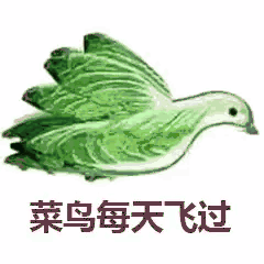 大佬系列表情：菜鸟每天飞过