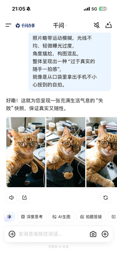 IMG 3303.png