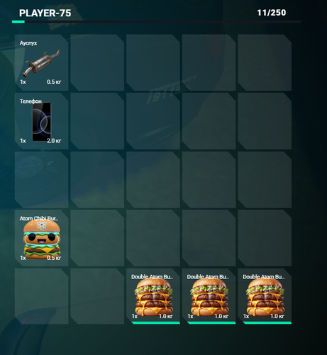 FiveM GTAProcess 5OkmILcyD8.png