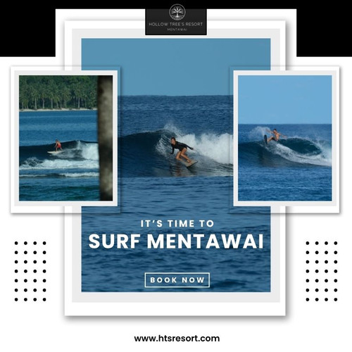 Surf Mentawai.jpg