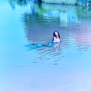 7fdfdb416e9a.png
