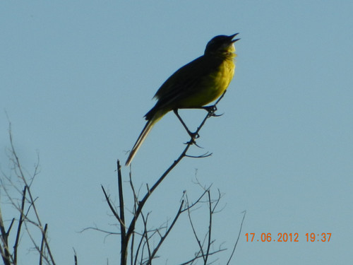 DSCN0529.jpg