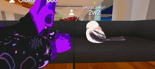 imagen.png