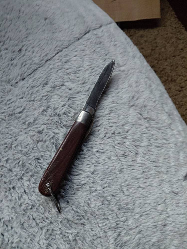 13bf6fa6940a.jpg