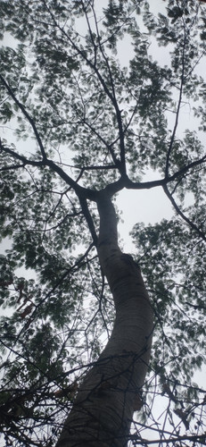 image6.jpg