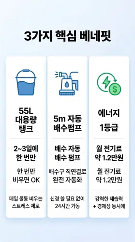 3.webp