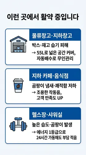 5.webp