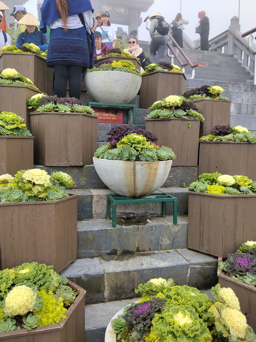 IMG 20251012 105325.jpg