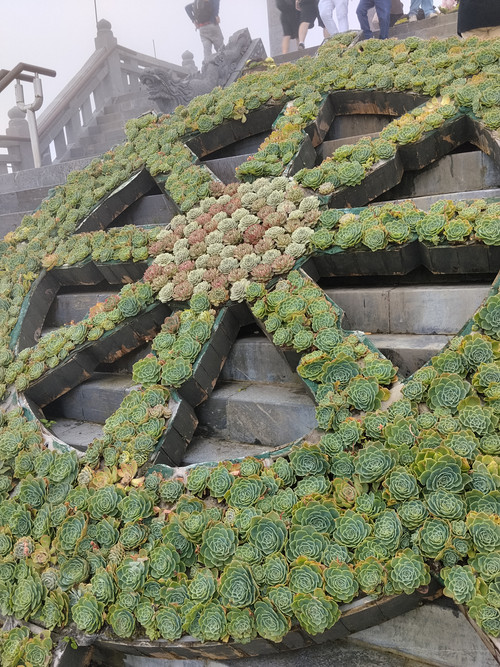 IMG 20251012 105501.jpg