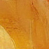 1000161643