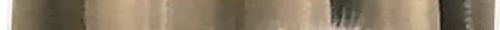 tscat17channels 0.png