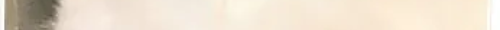 tscat17channels 5.png