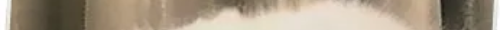 tscat17channels 1.png