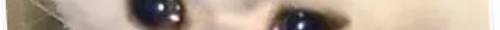 tscat17channels 8.png