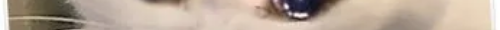 tscat17channels 9.png