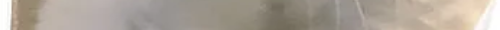 tscat17channels 15.png