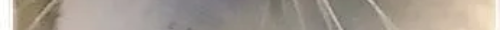 tscat17channels 13.png