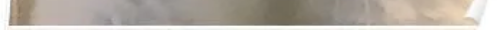 tscat17channels 16.png