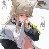 Endfield46