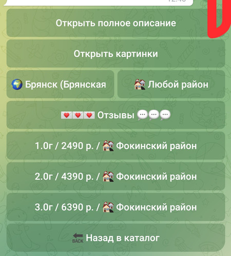 1000015221.jpg