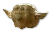 IMG 1252.png