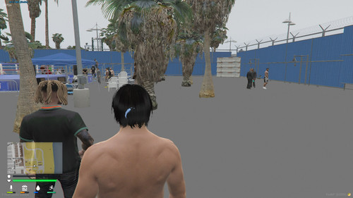 FiveM GTAProcess gACRdMfL8t.jpg
