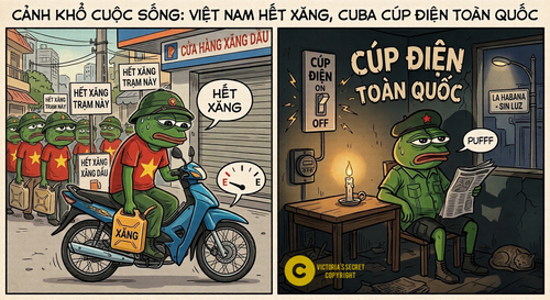 Photo 1772903912953.png